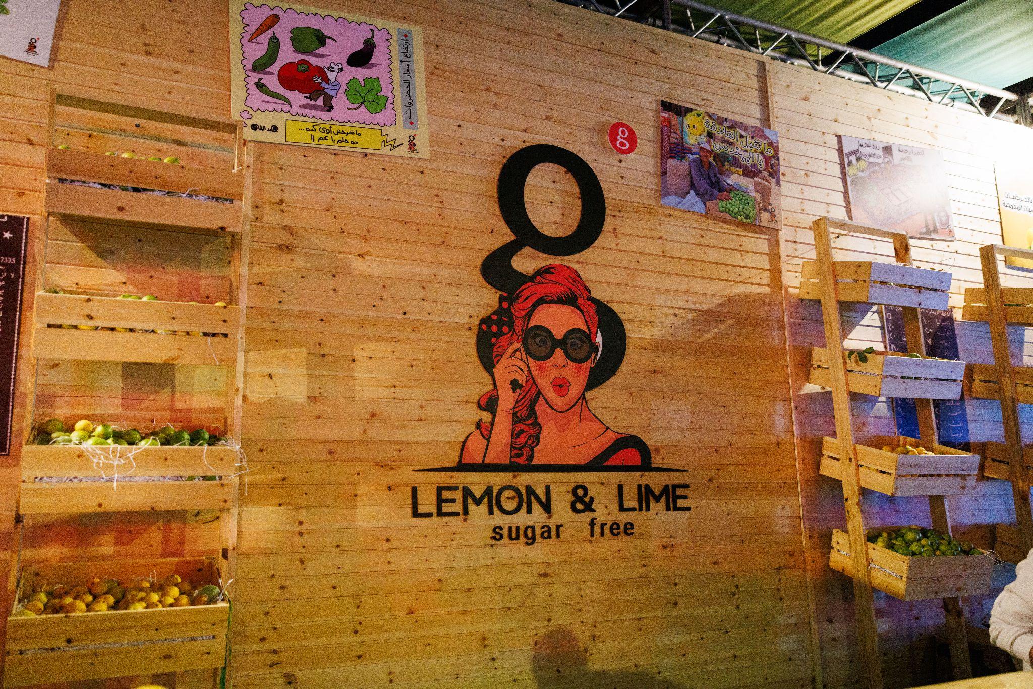 Recovery Fel Tronic 2024